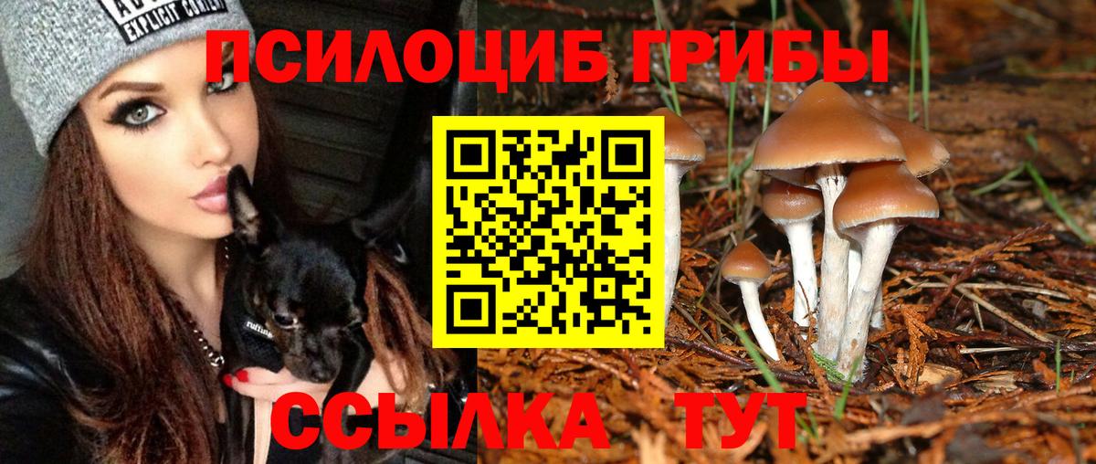 Галлюциногенные грибы Psilocybe  Галлюциногенные грибы Psilocybine cubensis  Малоярославец  Вход с VPN 
